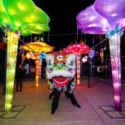 Cowabunga Bay Las Vegas, The Festival of Lights Cowabunga Bay, Dragons