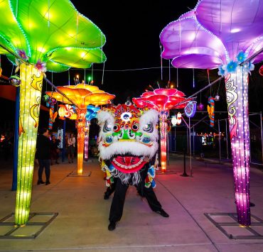 Cowabunga Bay Las Vegas, The Festival of Lights Cowabunga Bay, Dragons