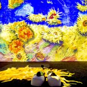Van Goah Experience, Immersive room Seattle