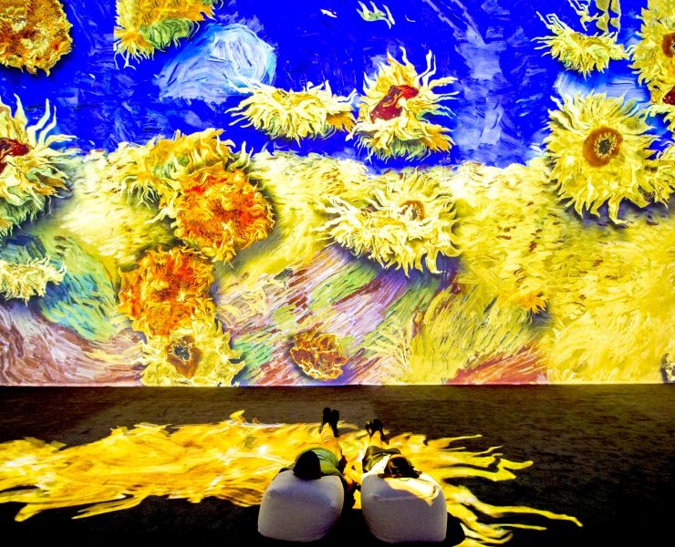Van Goah Experience, Immersive room Seattle