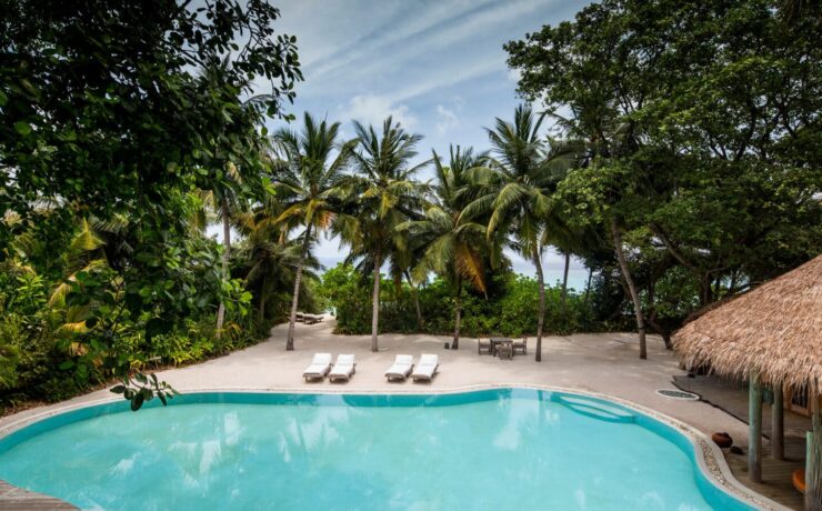 palm trees, pool, lounge chairs by pool, sustainable luxury hotel